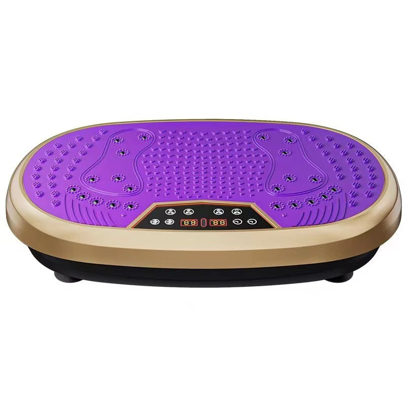 Rhythm Stepper Twist Machine for Low-Impact Cardio